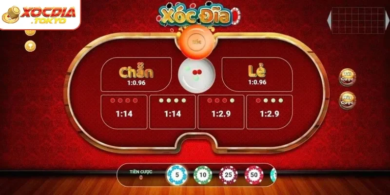 Tìm hiểu tầm trong trọng của thuật ngữ trong xóc đĩa