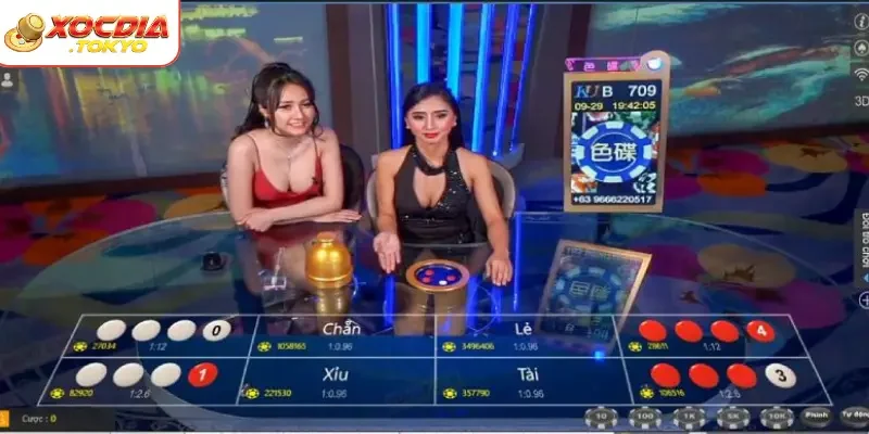 Cập nhập xu hướng chơi để lựa chọn bàn cược phù hợp